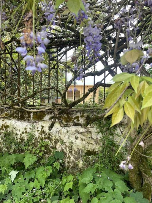 Gite Lilas Ideal Pour 4 Pers Capian Exteriér fotografie